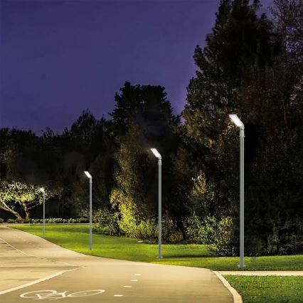 Brilagi - LED kültéri utcai lámpa állítható csuklóval URBANLIGHT LED/50W/230V szürke IP65
