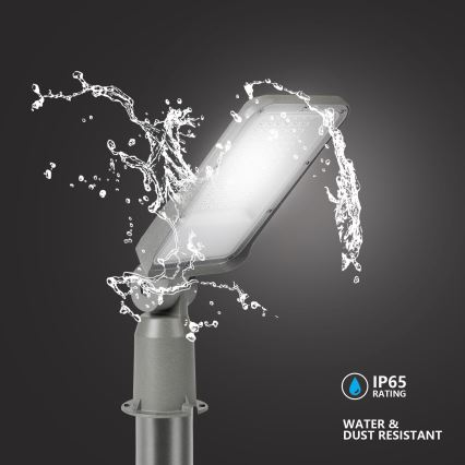 Brilagi - LED kültéri utcai lámpa állítható csuklóval URBANLIGHT LED/50W/230V szürke IP65
