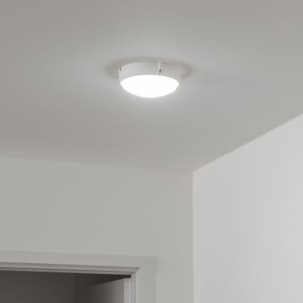 Brilagi - LED Mennyezeti ipari lámpa SIMA LED/12W/230V IP65 fehér