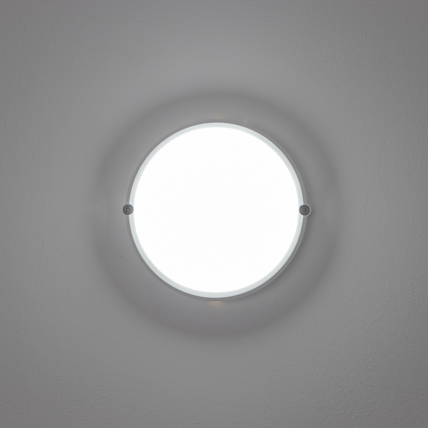 Brilagi - LED Mennyezeti ipari lámpa SIMA LED/12W/230V IP65 fehér