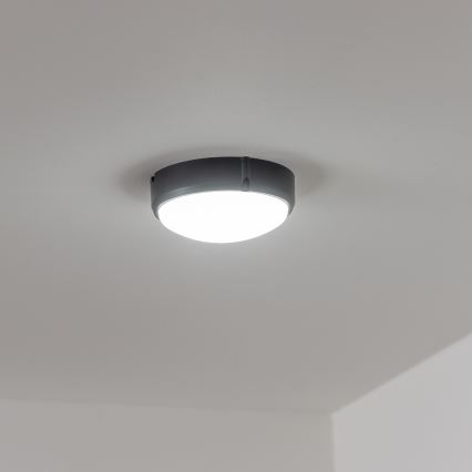 Brilagi - LED Mennyezeti ipari lámpa SIMA LED/12W/230V IP65 fekete