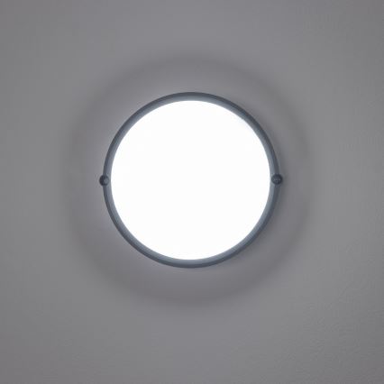 Brilagi - LED Mennyezeti ipari lámpa SIMA LED/12W/230V IP65 fekete