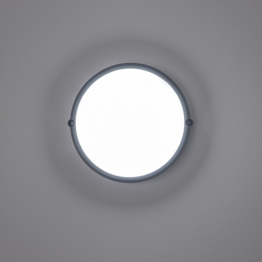 Brilagi - LED Mennyezeti ipari lámpa SIMA LED/12W/230V IP65 fekete