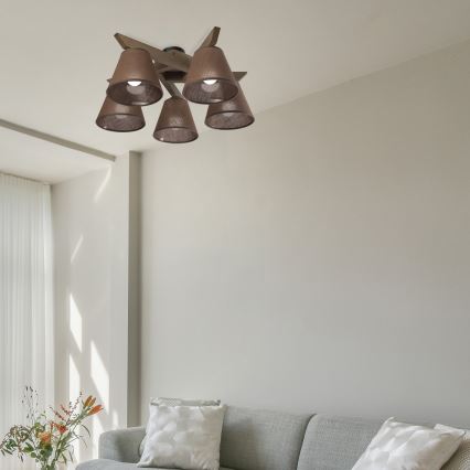 Brilagi - LED Mennyezeti lámpa ANTHONY 5xE14/40W/230V tölgy dióbarna/barnás