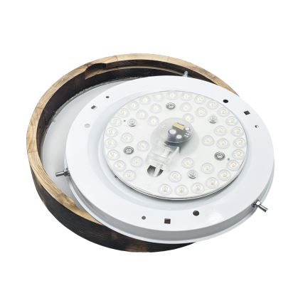 Brilagi - LED mennyezeti lámpa CARVALHO SLIM SMOKEY LED/20W/230V tölgy átm. 27,5 cm