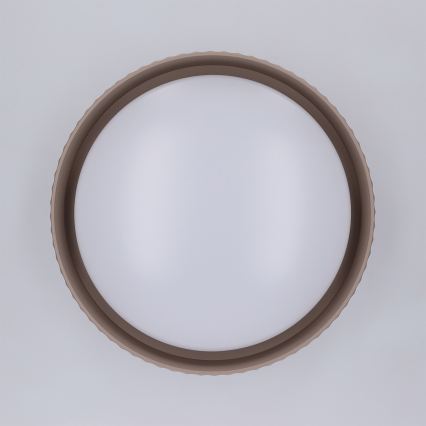 Brilagi - LED mennyezeti lámpa LUCIA LED/24W/230V átm. 31 cm barna