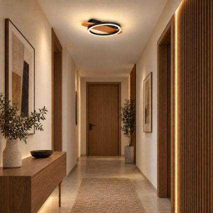BRILAGI - LED mennyezeti lámpa PLANK LED/16W/230V 4000K 30x40 cm fa