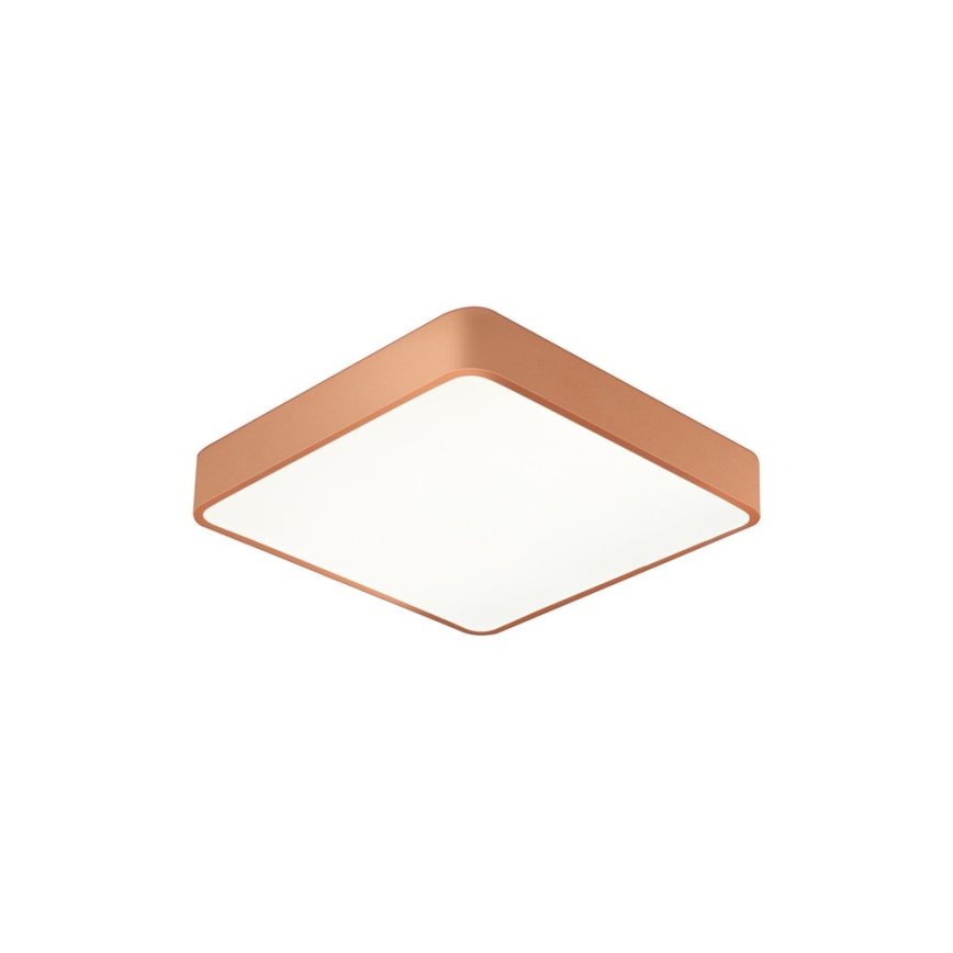 Brilagi - LED mennyezeti lámpatest POOL LED/48W/230V 3000/4000/6000K 50x50 cm bronzszínű