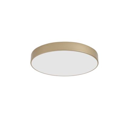 Brilagi - LED mennyezeti lámpa POOL LED/60W/230V 3000/4000/6000K átm. 50 cm aranyszínű