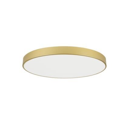 Brilagi - POOL LED mennyezeti lámpatest, 100 W, 230 V, 3000/4000/6000 K, átmérő 80 cm, aranyszínű