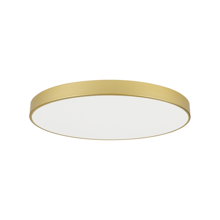 Brilagi - LED mennyezeti lámpatest POOL LED/128W/230V 3000/4000/6000K átmérő 100 cm aranyszínű