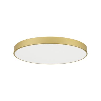 Brilagi - LED mennyezeti lámpatest POOL LED/128W/230V 3000/4500/6000K átmérő 100 cm aranyszínű