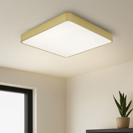 Brilagi - LED mennyezeti lámpatest POOL LED/48W/230V 3000/4000/6000K 50x50 cm arany