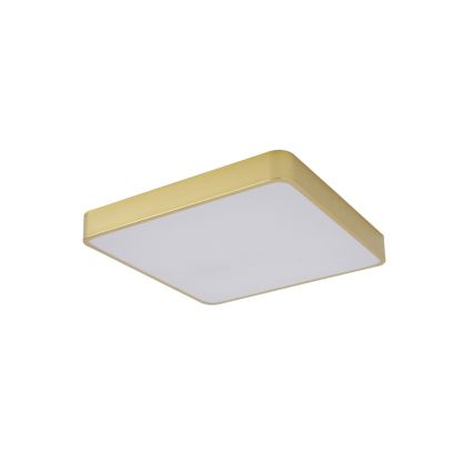 Brilagi - LED mennyezeti lámpatest POOL LED/48W/230V 3000/4000/6000K 50x50 cm arany