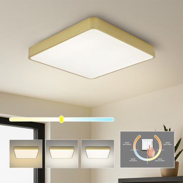 Brilagi - LED mennyezeti lámpatest POOL SQUARE LED/48W/230V 3000/4000/6000K 50x50 cm arany