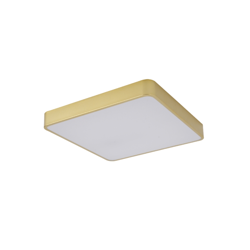 BRILAGI - LED mennyezeti lámpatest POOL SQUARE LED/48W/230V 3000/4000/6000K 50x50 cm arany
