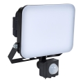 BRILAGI - LED reflektor érzékelővel ELARA PRO LED/30W/230V IP65