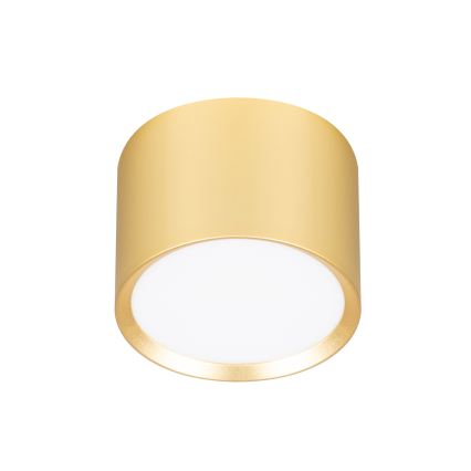 Brilagi - LED RGB+CCT dimmelhető spotlámpa SMOOTH 1xGX53/14W/230V 2700-6500K Wi-Fi Tuya arany