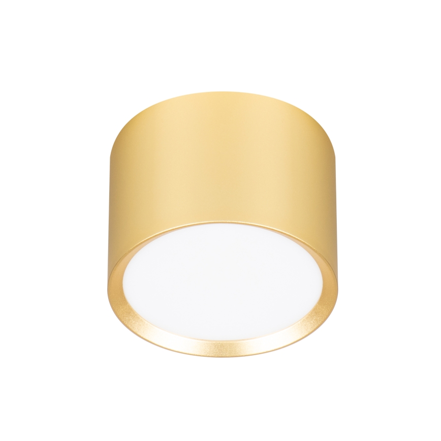 Brilagi - LED RGB+CCT dimmelhető spotlámpa SMOOTH 1xGX53/14W/230V 2700-6500K Wi-Fi Tuya arany