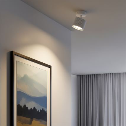 Brilagi - LED RGB+CCT dimmelhető spotlámpa STRIPY 1xGX53/14W/230V 2700-6500K Wi-Fi Tuya fehér