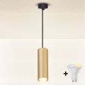 Brilagi - LED RGBW dimmelhető kábeles függeszték SELE 1xGU10/6W/230V 3000K fekete/arany
