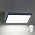 BRILAGI - LED RGBW dimmelhető kültéri fali lámpa TRIANGLE 1xE27/12W/230V 2700-6500K IP65 antracit