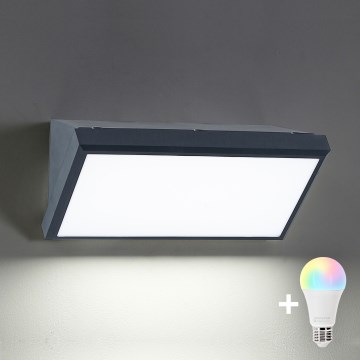 BRILAGI - LED RGBW dimmelhető kültéri fali lámpa TRIANGLE 1xE27/12W/230V 2700-6500K IP65 antracit