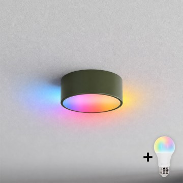 BRILAGI - LED RGBW dimmelhető mennyezeti lámpa CLARE 1xE27/12W/230V átm. 20 cm khaki