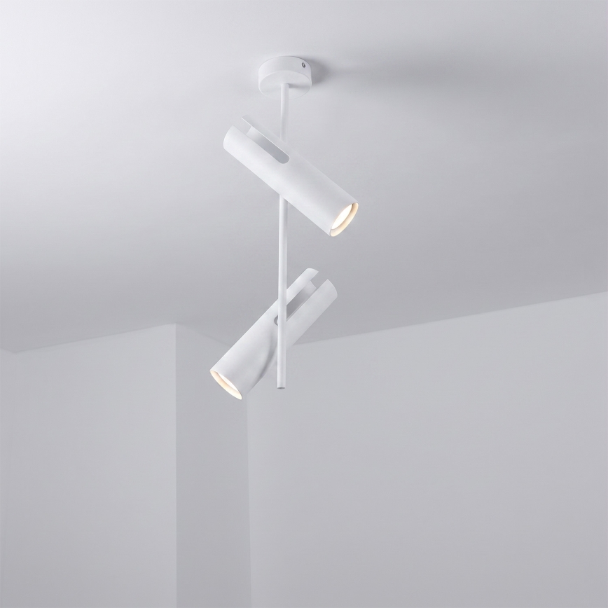 Brilagi - LED RGBW dimmelhető rúdon szerelt csillár BRANCH 2xGU10/6,5W/230V 2700-6500K fehér