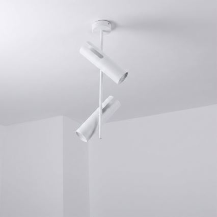 Brilagi - LED RGBW dimmelhető rúdon szerelt csillár BRANCH 2xGU10/6,5W/230V 2700-6500K fehér