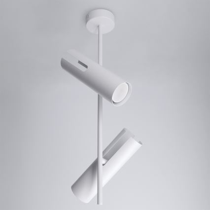 Brilagi - LED RGBW dimmelhető rúdon szerelt csillár BRANCH 2xGU10/6,5W/230V 2700-6500K fehér