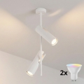 Brilagi - LED RGBW dimmelhető rúdon szerelt csillár BRANCH 2xGU10/6,5W/230V 2700-6500K fehér