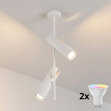 Brilagi - LED RGBW dimmelhető rúdon szerelt csillár BRANCH 2xGU10/6,5W/230V 2700-6500K fehér