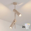 Brilagi - LED RGBW Dimmelhető rúdos csillár BRANCH 2xGU10/6,5W/230V 2700-6500K bézs