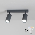 Brilagi - LED RGBW dimmelhető spotlámpa SELE 2xGU10/6W/230V 3000K antracit