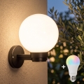 BRILAGI - LED RGBW fényerőszabályozható kültéri fali lámpa HARBOR 1xE27/12W/230V 2700-6500K IP33 fekete/fehér
