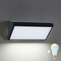 BRILAGI - LED RGBW fényerőszabályozható kültéri fali lámpa TRIANGLE 1xE27/12W/230V 2700-6500K IP65 fekete
