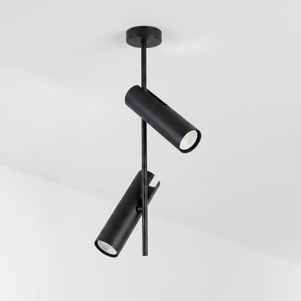 Brilagi - RGBW LED fényerőszabályozható rudas csillár BRANCH 2xGU10/6,5W/230V 2700-6500K fekete