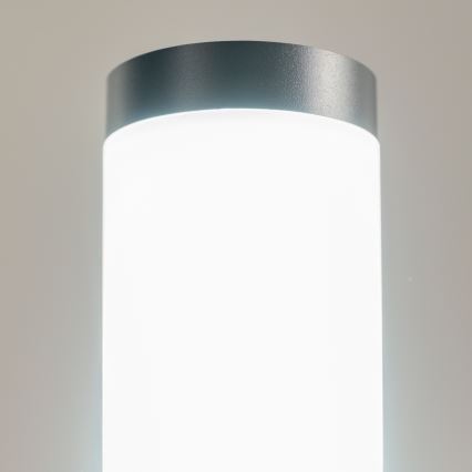 BRILAGI - LED RGBW dimmelhető kültéri lámpa foglalattal ELIA 1xE27/6,5W/230V 2700-6500K IP44 Wi‑Fi 50 cm antracit