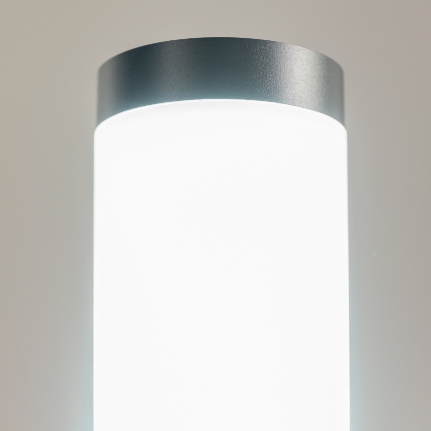 BRILAGI - LED RGBW dimmelhető kültéri lámpa foglalattal ELIA 1xE27/6,5W/230V 2700-6500K IP44 Wi‑Fi 50 cm antracit