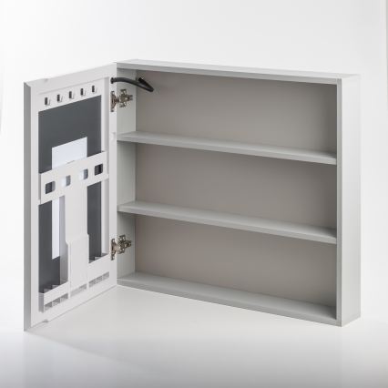 BRILAGI - LED tükrös fürdőszobai szekrény háttérvilágítással NOTO SINGLE 78x65 cm