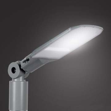 Brilagi - LED utcai lámpa URBANLIGHT LED/100W/230V szürke IP65