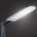 Brilagi - LED utcai lámpa URBANLIGHT LED/250W/230V antracit IP65