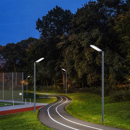Brilagi - LED utcai lámpa URBANLIGHT LED/250W/230V antracit IP65