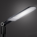 Brilagi - LED utcai lámpa URBANLIGHT LED/250W/230V fekete IP65