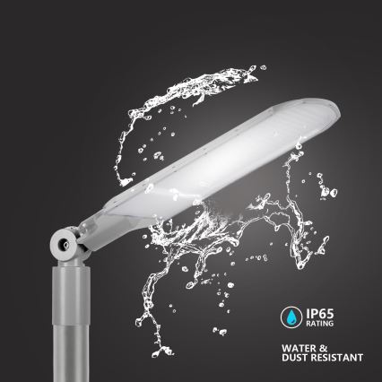 Brilagi - LED utcai lámpa URBANLIGHT LED/250W/230V szürke IP65