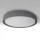 Brilagi - LUCIA LED mennyezeti lámpa (LED/24W/230V), átmérő 31 cm, szürke