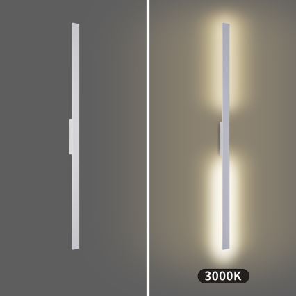 Brilagi - LED kültéri fali lámpatest LUNA LED/30W/230V 3000K IP65 150 cm fehér CRI 90