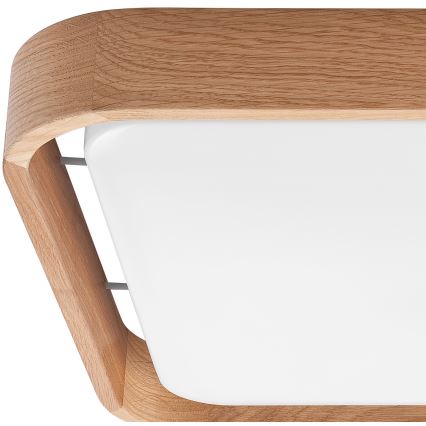 Brilagi - LED dimmelhető mennyezeti lámpa MANAROLA CUBIC LED/24W/230V 45x45 cm 3000-6500K tölgy + távirányítóval