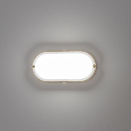 Brilagi - Mennyezeti ipari LED lámpa  SIMA LED/12W/230V IP65 fehér